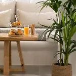 Apartment Kamvas Deluxe *
